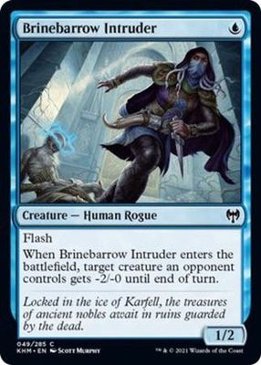 Brinebarrow Intruder 049/285 - Kaldheim Singles
