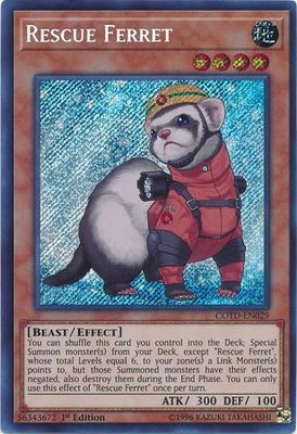 SJ Rescue Ferret - COTD-EN029 - Secret Rare 1st Edition
Code of the Duelist 1st Edition Singles *Espanol*