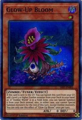 SJ Glow-Up Bloom - SR07-EN003 - Super Rare 1st Edition
Structure Deck: Zombie Horde Singles