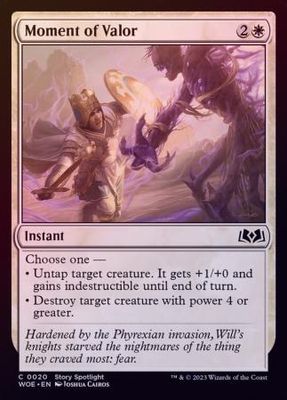 Moment of Valor 0020 - Foil
Wilds of Eldraine Foil Singles