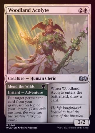 Woodland Acolyte 0241 - Foil
Wilds of Eldraine Foil Singles