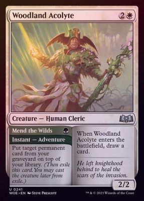 Woodland Acolyte 0241 - Foil
Wilds of Eldraine Foil Singles
