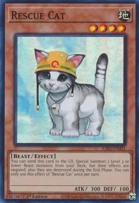 Rescue Cat - RA02-EN001 - Super Rare 1st Edition Rarity Collection II Singles