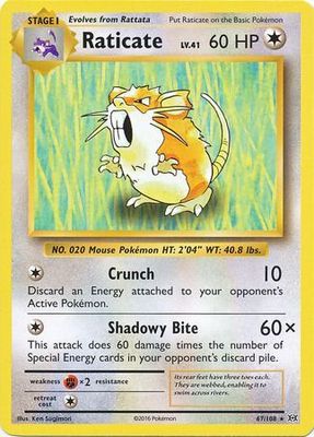 Raticate - 67/108 - Rare XY: Evolutions Singles