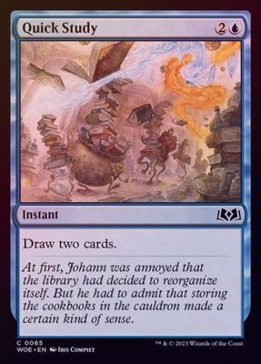 Quick Study 0065 - Foil
Wilds of Eldraine Foil Singles