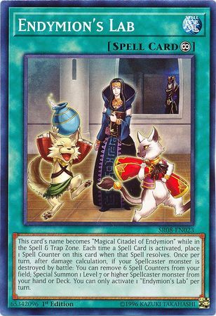 Endymion&#39;s Lab - SR08-EN023 - Common 1st Edition Structure Deck: Order of the Spellcasters Singles *Espanol*