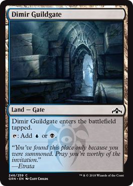 Dimir Guildgate 246/259
Guilds of Ravnica Singles (Español)