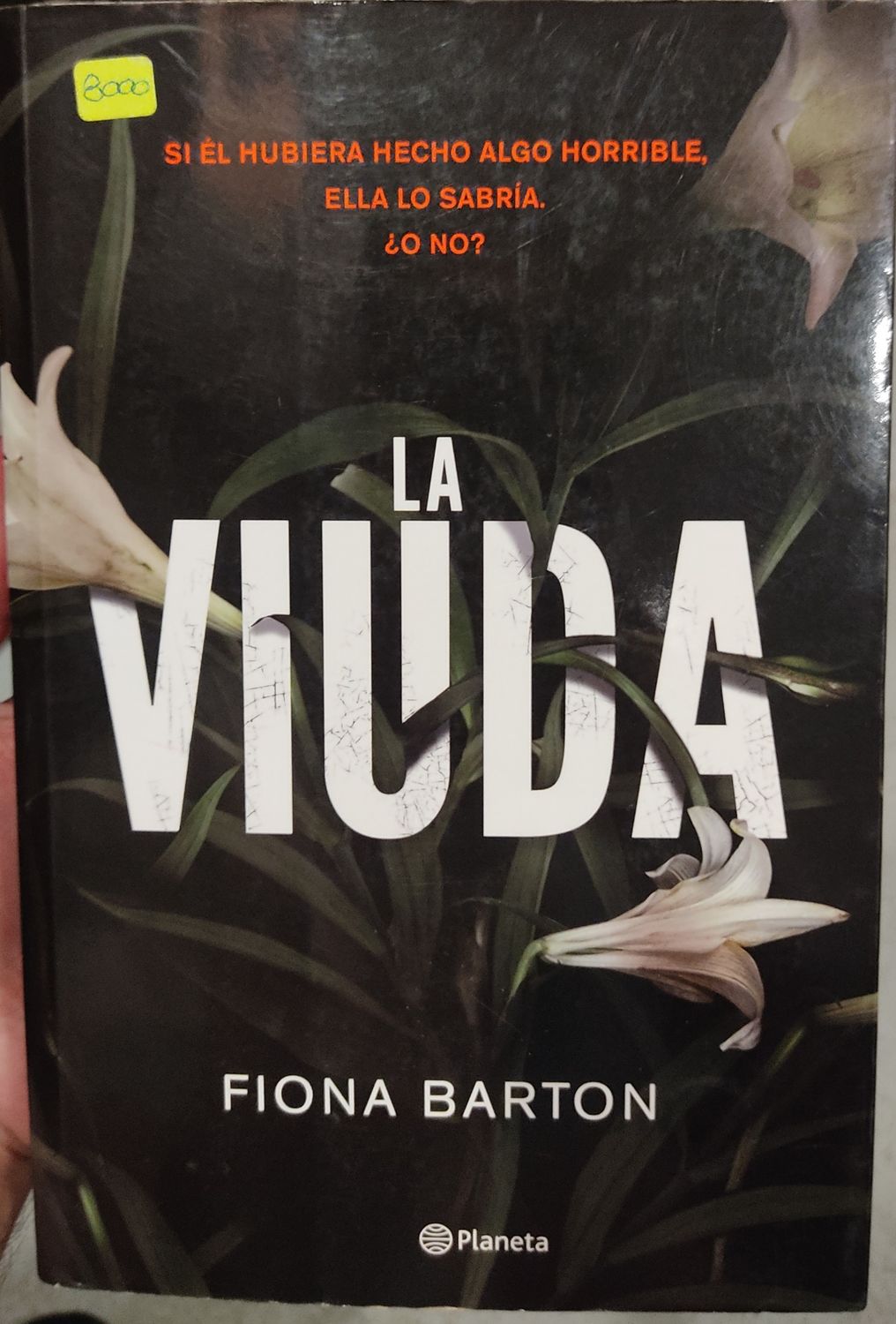 TS La Viuda Libro Espanol Fiona Barton