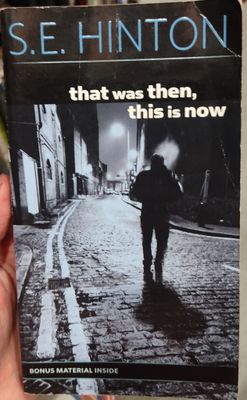 TS That Was Then This is Now Libro Ingles SE Hinton