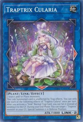 Traptrix Cularia - SDBT-EN041 - Common 1st Edition
Beware of Traptrix 1st Edition Singles