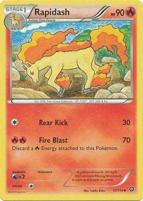Rapidash - 17/114 - Uncommon
XY: Steam Siege Singles