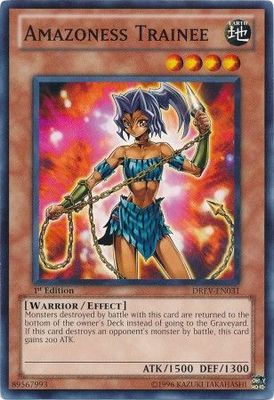 Amazoness Trainee - DREV-EN031 - Common 1st Edition
Duelist Revolution 1st Edition Singles