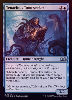 Tenacious Tomeseeker 0074 - Foil
Wilds of Eldraine Foil Singles
