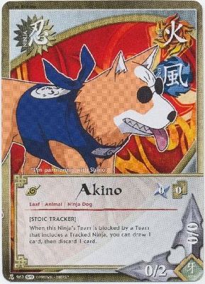 Akino - 962 - Common
Naruto: Path of Pain