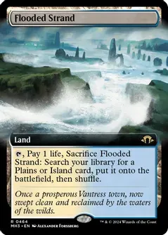 SJ Flooded Strand (Extended Art) - Modern Horizons 3 (MH3)
Modern Horizons 3