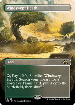 SJ Windswept Heath (Borderless) - Modern Horizons 3 (MH3)
Modern Horizons 3