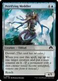 Petrifying Meddler - Modern Horizons 3 (MH3) Modern Horizons 3 Foil