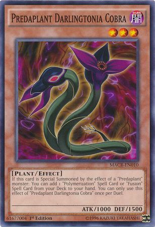 Predaplant Darlingtonia Cobra - MACR-EN010 - Common 1st Edition Maximum Crisis 1st Edition Singles