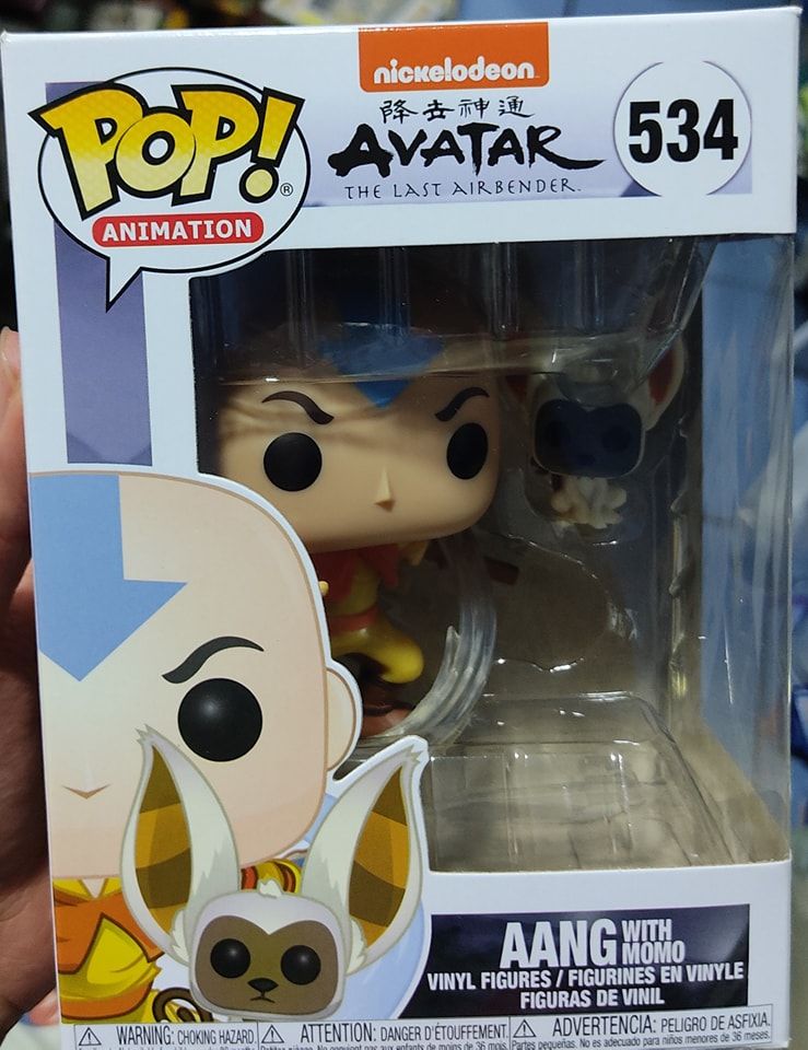 SJ Aang with momo Funko Pop Avatar the Last Airbender