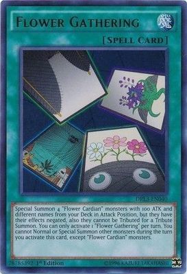 Flower Gathering - DRL3-EN040 - Ultra Rare 1st Edition Dragons of Legend Unleashed 1st Edition Singles *Espanol*