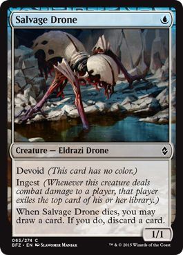 Salvage Drone 065/274
Battle for Zendikar Singles