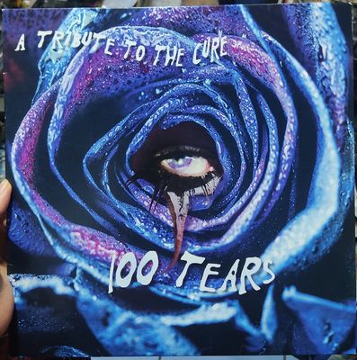 BA10 A Tribute to the Cure 100 Tears LP Musica Original Usado Completo