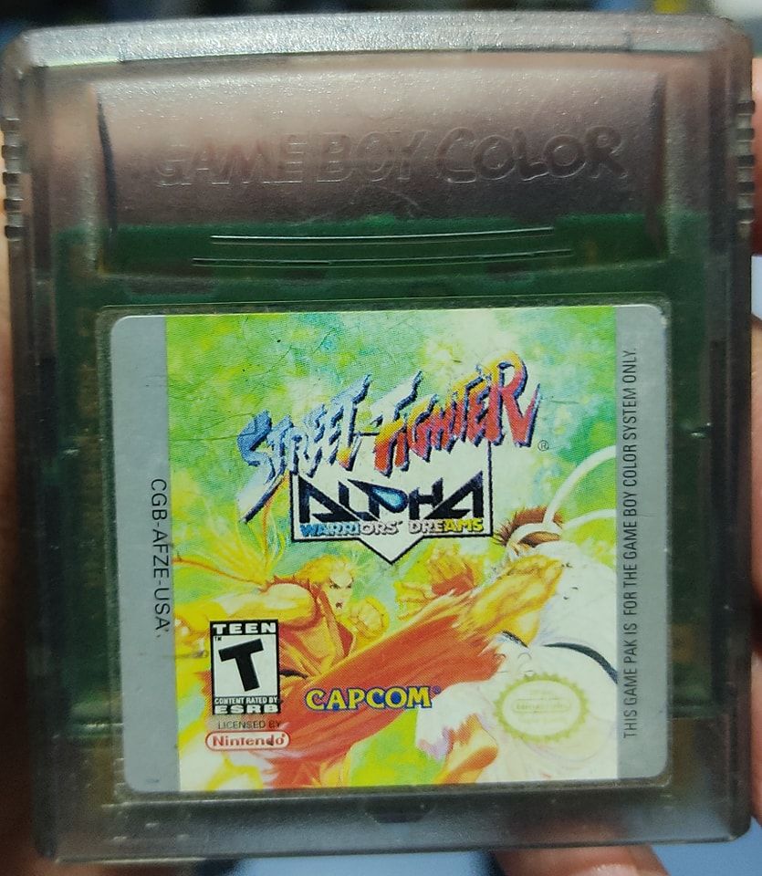 SJ Street Fighter Warrior Dreams Nintendo Game Boy Color