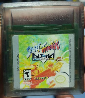 SJ Street Fighter Warrior Dreams Nintendo Game Boy Color