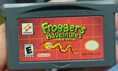 SJ Froggers Adventure Temple of the Frog Nintendo Game Boy Advance