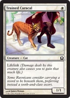 Trained Caracal 27/274 - Return to Ravnica Singles
