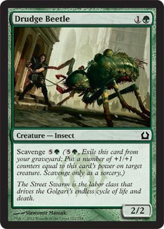 Drudge Beetle 122/274 - Return to Ravnica Singles