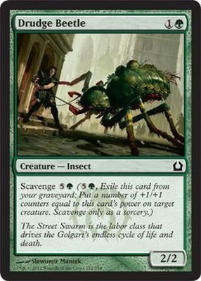 Drudge Beetle 122/274 - Return to Ravnica Singles
