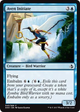 Aven Initiate 043/269
Amonkhet Singles