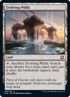Evolving Wilds 256/281
Adventures in the Forgotten Realms Singles
