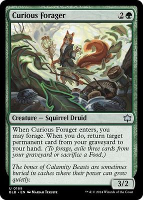 Curious Forager - Bloomburrow (BLB) Bloomburrow