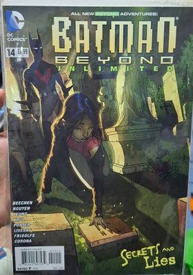 BA17 Batman Beyond Unlimited Issue 14 DC Comics Ingles