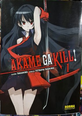 BA18 Akame Ga Kill Manga Volumen 1 Espanol