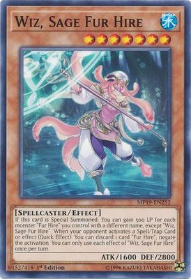 Wiz, Sage Fur Hire - MP19-EN252 - Common 1st Edition Yu-Gi-Oh! 2019 Mega-Tins: Gold Sarcophagus Tin Mega Pack Singles (Espanol)
