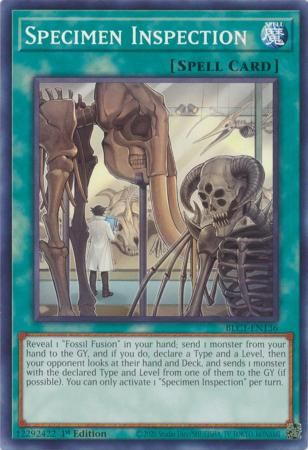 Specimen Inspection - BLC1-EN136 - Common 1st Edition
Battles of Legend: Chapter 1 1st Edition Singles (Espanol)