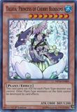 Talaya, Princess of Cherry Blossoms - MP14-EN089 - Super Rare 1st Edition
Yu-Gi-Oh! 2014 Mega-Tins Singles