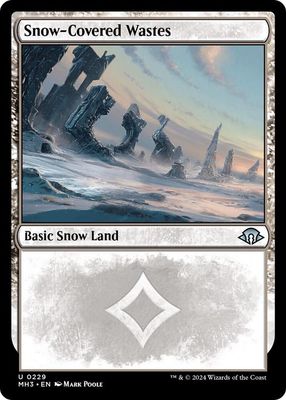 Snow-Covered Wastes (0229) - Modern Horizons 3 (MH3)
Modern Horizons 3- Foil