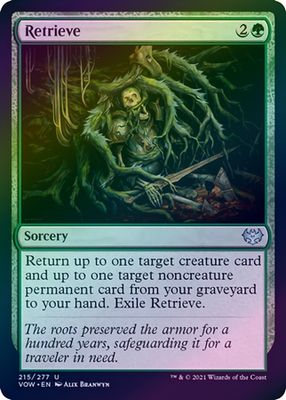 Retrieve 215/277 - Foil
Innistrad: Crimson Vow Foil Singles
