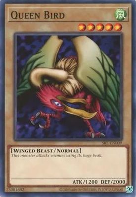 Queen Bird - SRL-EN009 - Common Unlimited (25th Reprint) Spell Ruler 25th Anniversary Singles