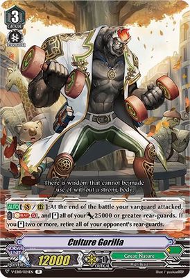 Culture Gorilla - V-EB10: The Mysterious Fortune (V-EB10) V-EB10: The Mysterious Fortune