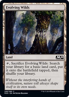 Evolving Wilds 246/280 Magic 2020 (M20) Singles