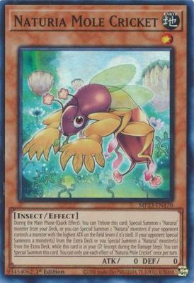 Naturia Mole Cricket - MP23-EN170 - Super Rare 1st Edition Mega Tin 2023 Dueling Heroes Singles