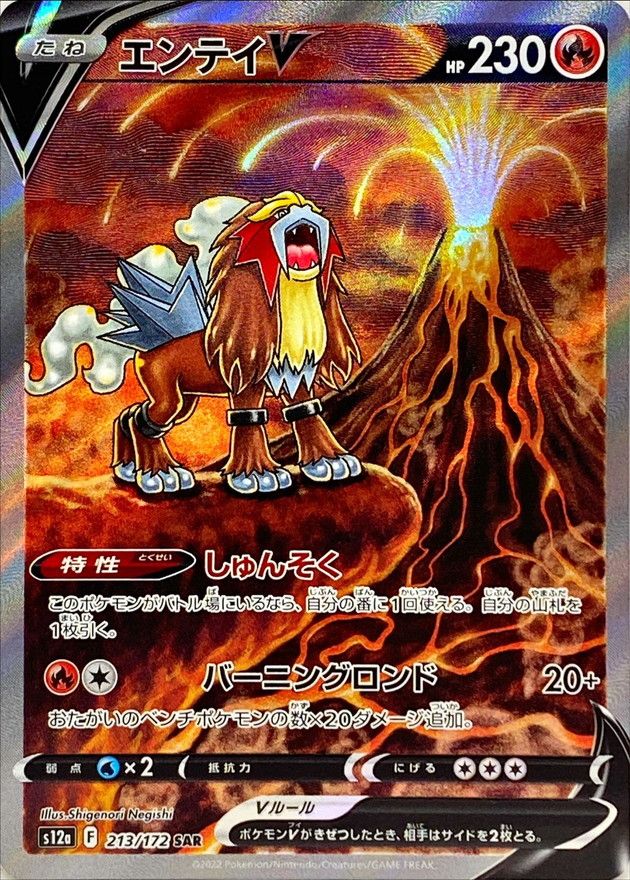 SJ (Pokemon Card Game) Entei V / エンテイV 213/172 SAR Foil