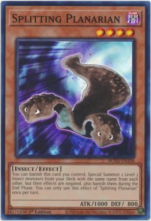GA Splitting Planarian - ROTA-EN100 - Super Rare 1st Edition Rage of the Abyss 1st Edition Singles