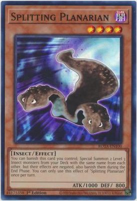 GA Splitting Planarian - ROTA-EN100 - Super Rare 1st Edition Rage of the Abyss 1st Edition Singles