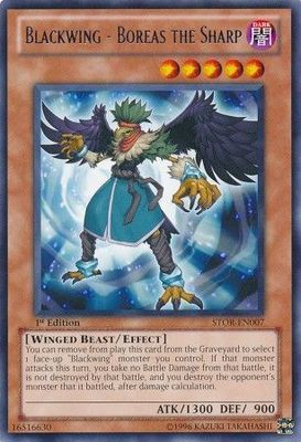 Blackwing - Boreas the Sharp - STOR-EN007 - Rare 1st Edition Storm of Ragnarok 1st Edition Singles